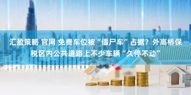 汇盈策略 官网 免费车位被“僵尸车”占据？外高桥保税区内公共道路上不少车辆“久停不动”