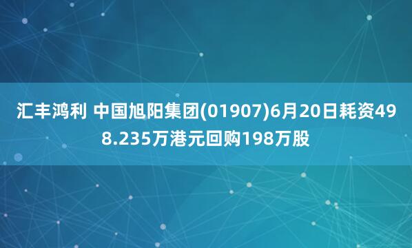汇丰鸿利 中国旭阳集团(01907)6月20日耗资498.235万港元回购198万股