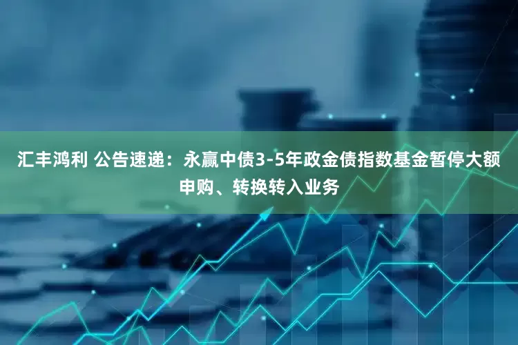 汇丰鸿利 公告速递：永赢中债3-5年政金债指数基金暂停大额申购、转换转入业务