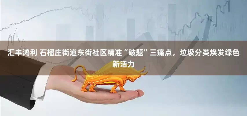 汇丰鸿利 石榴庄街道东街社区精准“破题”三痛点，垃圾分类焕发绿色新活力