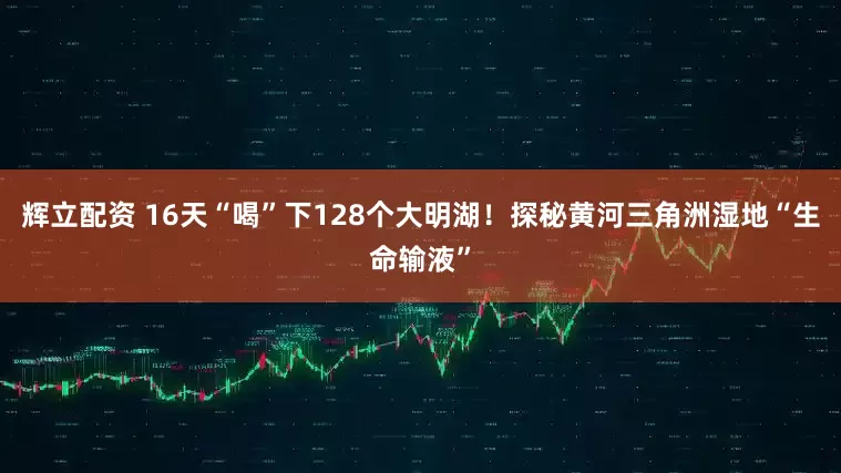 辉立配资 16天“喝”下128个大明湖！探秘黄河三角洲湿地“生命输液”