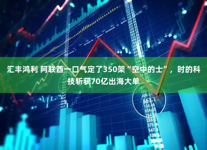汇丰鸿利 阿联酋一口气定了350架“空中的士”，时的科技斩获70亿出海大单