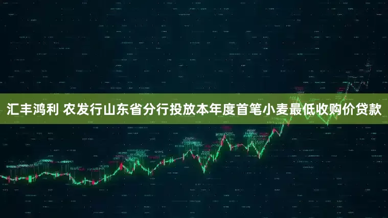 汇丰鸿利 农发行山东省分行投放本年度首笔小麦最低收购价贷款